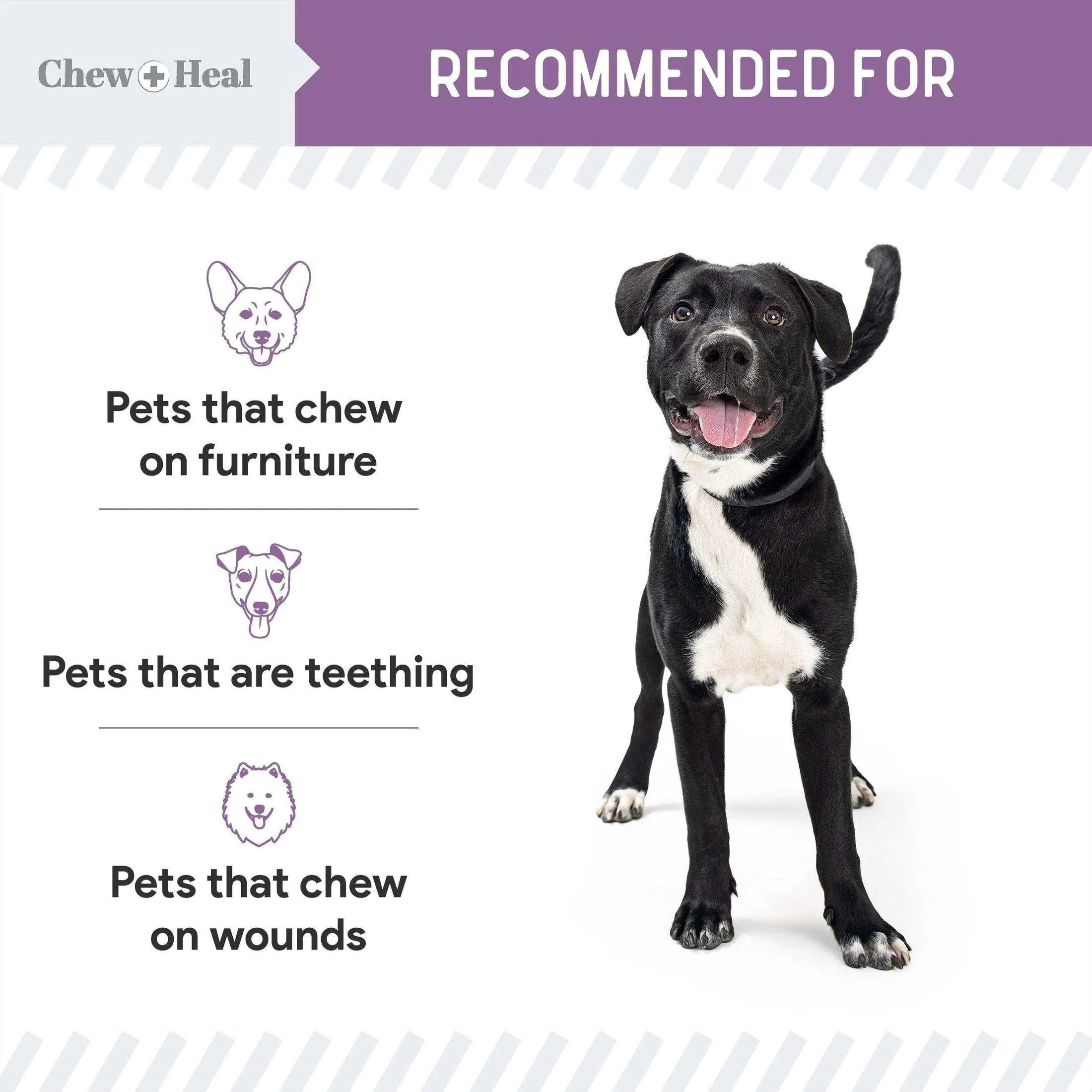 Chew   Heal No Chew Spray For Dogs