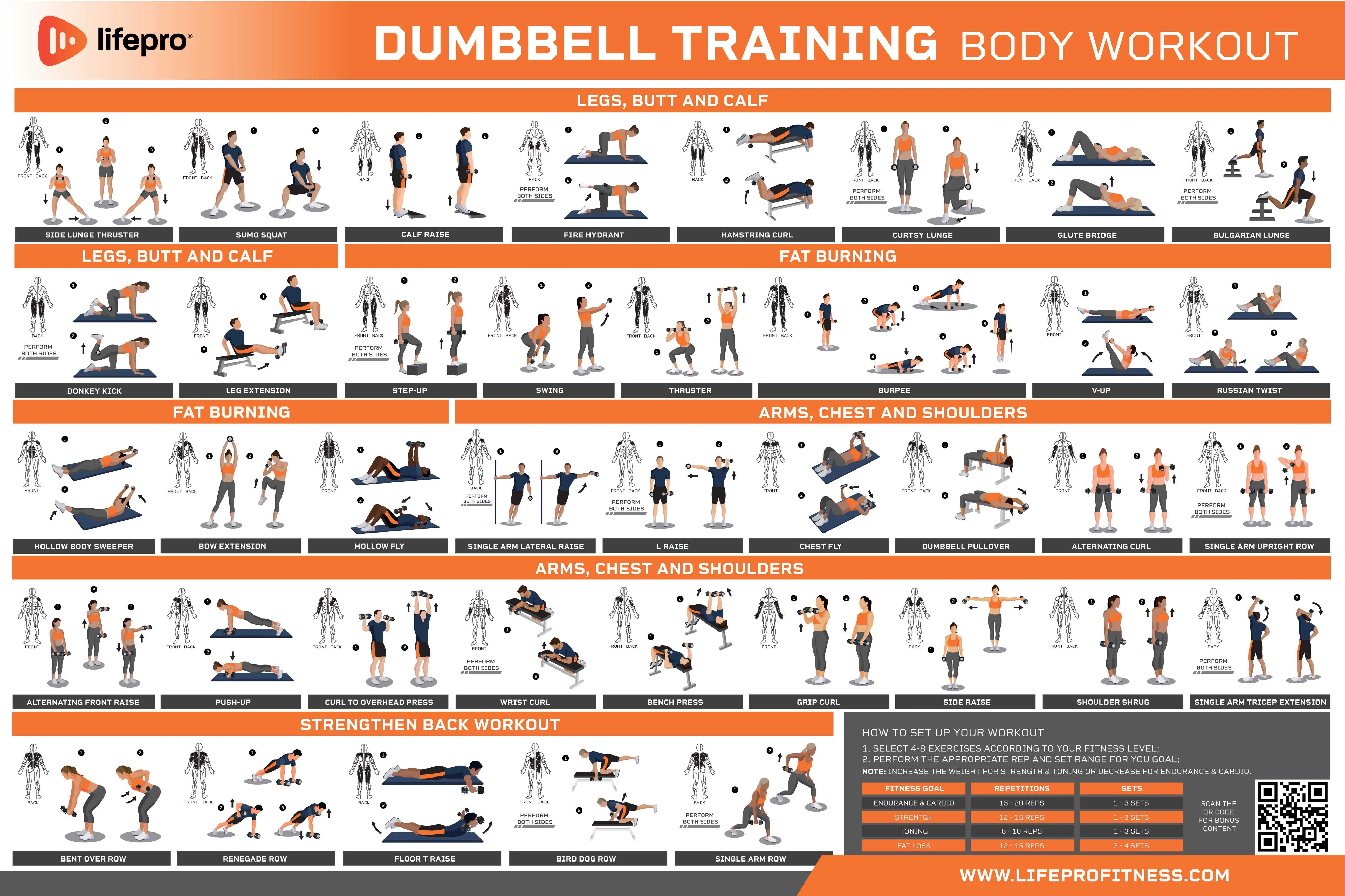 Dumbbell Workout Guide