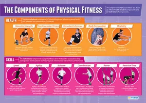 The Components of Physical Education Fitness Wall Chart Poster - PosterFit