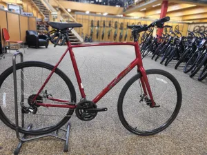 Trek FX 1 Disc Fitness DEMO Bike 2023